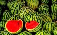 When life gives you melons 